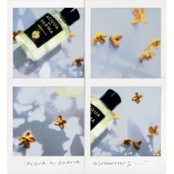 ACQUA DI PARMA Parfum Mixte|Signature Osmanthus                Eau de Parfum