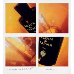 ACQUA DI PARMA Parfum Mixte|Signature Oud                Eau de Parfum