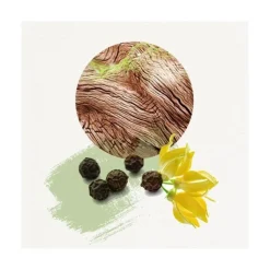 Homme Annayaké Eau De Toilette|Dojou For HIm                Eau de Toilette