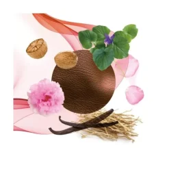 Homme Annayaké Eau De Toilette|Kagari For Him                Eau de Toilette