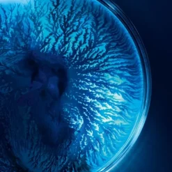 Biotherm Masque|Life Plankton™                Masque tissu hydratant et régénérant