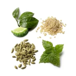 Homme Brioni Eau De Parfum|               Eau de Parfum Essentiel