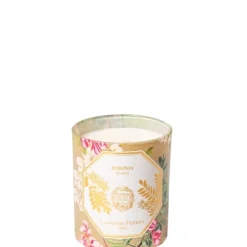 Carrière Frères Bougie Parfumée|Acacia - Robinia                Bougie Parfumée