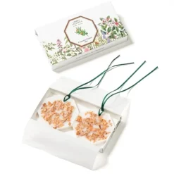 Carrière Frères Parfum D'Ambiance & Diffuseur D'Intérieur|Cèdre - Cedrus Atlantica                Palet Botanique