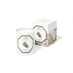 Carrière Frères Bougie Parfumée|Cèdre - Cedrus Atlantica                Bougie Parfumée
