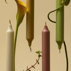 Carrière Frères Chandelle & Cierge|Cèdre                Chandelle Parfumée