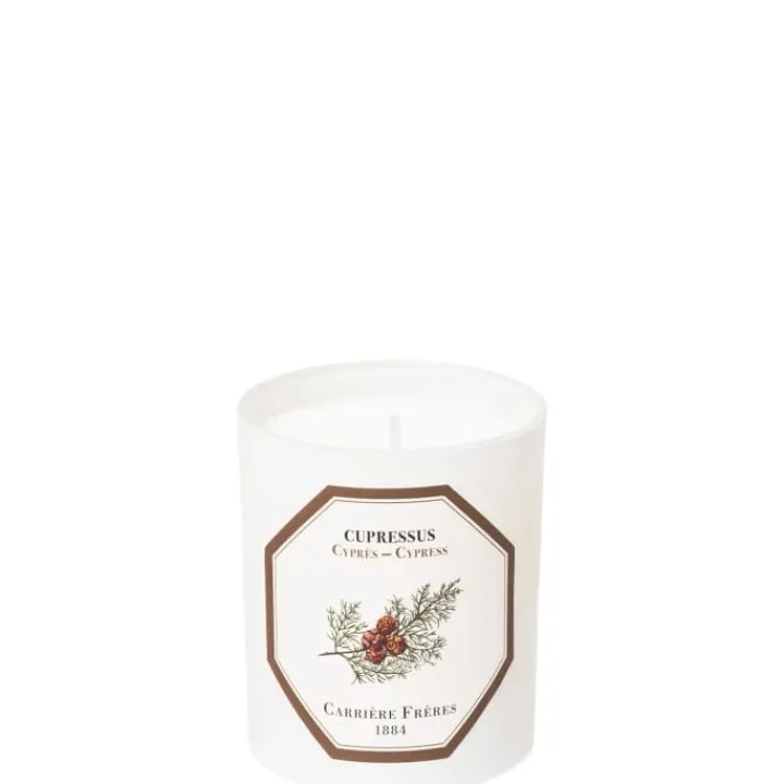 Carrière Frères Bougie Parfumée|Cyprès - Cupressus Bougie Parfumée