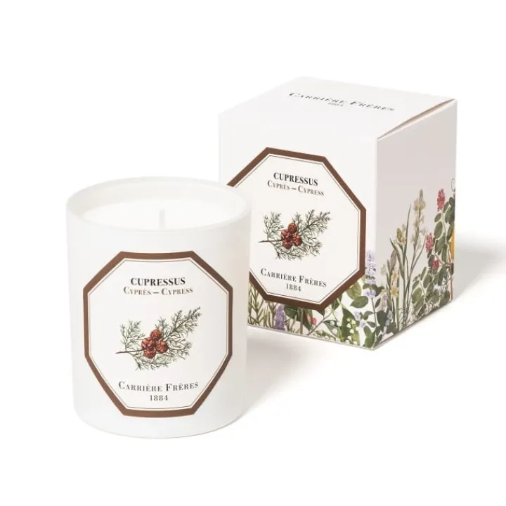 Carrière Frères Bougie Parfumée|Cyprès - Cupressus Bougie Parfumée