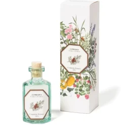Carrière Frères Parfum D'Ambiance & Diffuseur D'Intérieur|Cyprès - Cupressus                Diffuseur de Parfum