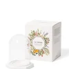 Carrière Frères Accessoires Maison|Le Dome - Socle & Cloche                Coffret Accessoires