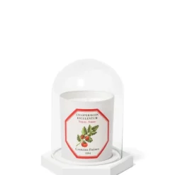 Carrière Frères Accessoires Maison|Le Dome - Socle & Cloche                Coffret Accessoires