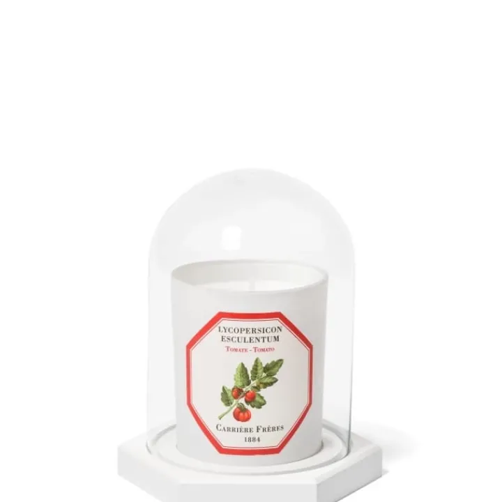 Carrière Frères Accessoires Maison|Le Dome - Socle & Cloche Coffret Accessoires