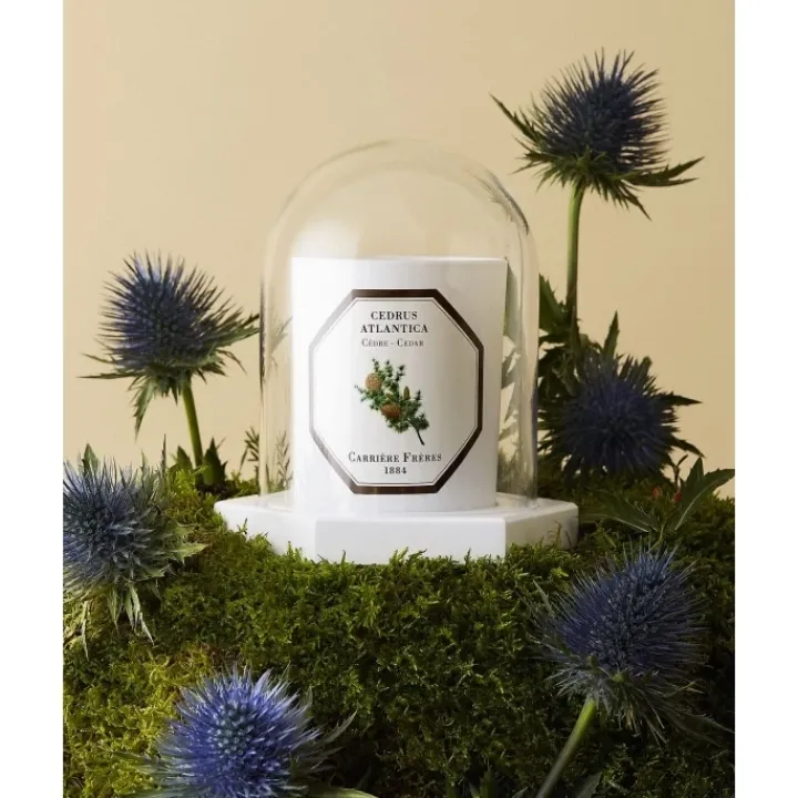 Carrière Frères Accessoires Maison|Le Dome - Socle & Cloche Coffret Accessoires