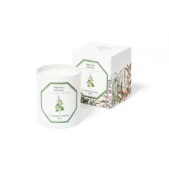 Carrière Frères Bougie Parfumée|Menthe Verte - Mentha Spicata                Bougie Parfumée