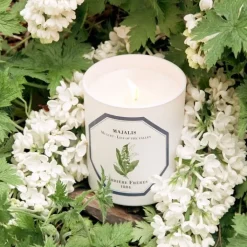 Carrière Frères Bougie Parfumée|Muguet - Majalis                Bougie Parfumée