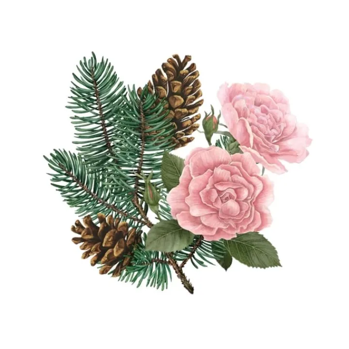 Carrière Frères Parfum D'Ambiance & Diffuseur D'Intérieur|Pin de Sibérie & Rose d'Hiver Palet Botanique