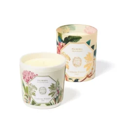 Carrière Frères Bougie Parfumée|Plumeria - Frangipanier                Recharge Bougie Parfumée