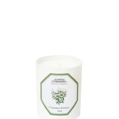 Carrière Frères Bougie Parfumée|Verveine - Aloysia Citrodora Bougie Parfumée
