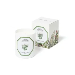 Carrière Frères Bougie Parfumée|Verveine - Aloysia Citrodora                Bougie Parfumée