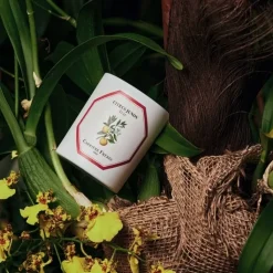 Carrière Frères Bougie Parfumée|Yuzu - Citrus Junos                Bougie Parfumée