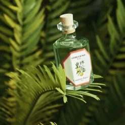 Carrière Frères Parfum D'Ambiance & Diffuseur D'Intérieur|Yuzu - Citrus Junos                Diffuseur de Parfum