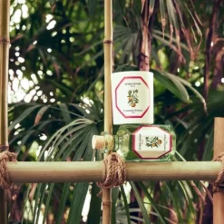 Carrière Frères Parfum D'Ambiance & Diffuseur D'Intérieur|Yuzu - Citrus Junos                Diffuseur de Parfum