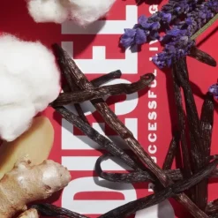 Homme Diesel Eau De Toilette|D by                Eau de Toilette