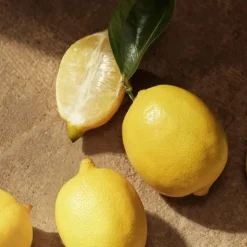 Homme Dolce&Gabbana Eau De Parfum|Devotion pour Homme                Eau de Parfum