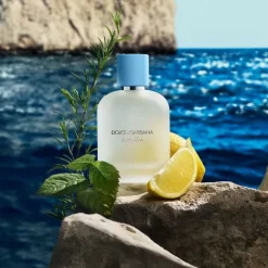 Homme Dolce&Gabbana Eau De Toilette|Dolce & Gabbana Light Blue pour Homme                Eau de Toilette