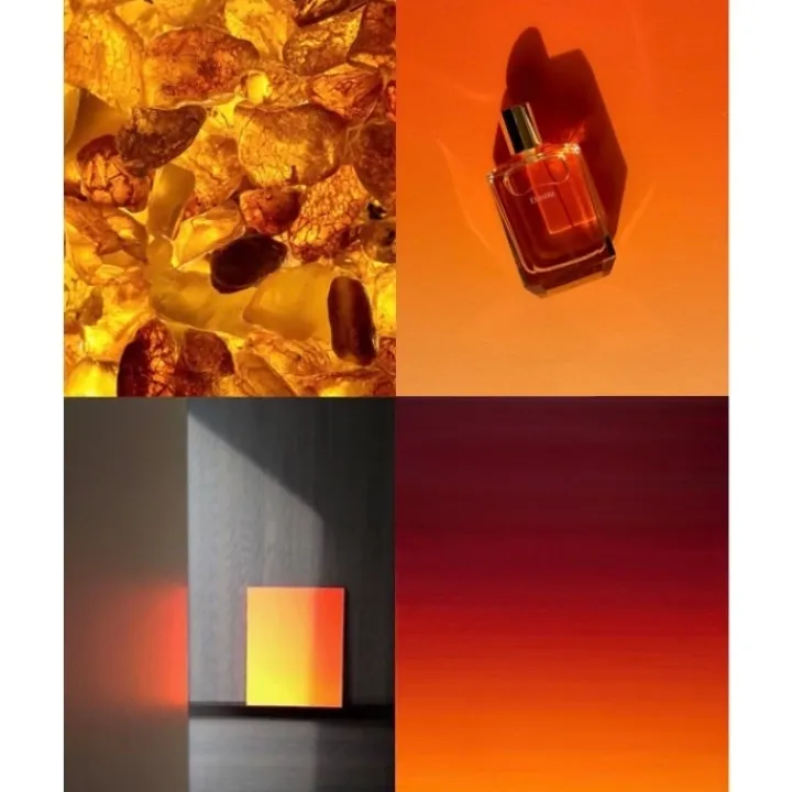 Elisire Parfum Mixte|Ambre Nomade Extrait de Parfum