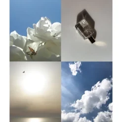 Elisire Parfum Mixte|Jasmin Paradis Extrait de Parfum