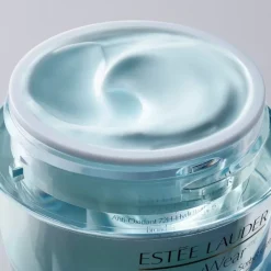 ESTEE LAUDER Soin De Jour|DayWear                Crème Hydratation 24h Multi-Protection Anti-Oxydant SPF15 Peaux Sèches