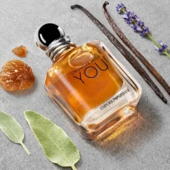 Homme GIORGIO ARMANI Eau De Toilette|Emporio Armani Stronger With You                Eau de Toilette