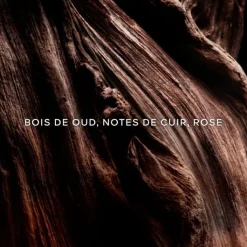 GUERLAIN Parfum Mixte|Absolus Allegoria Oud Essentiel                Eau de Parfum