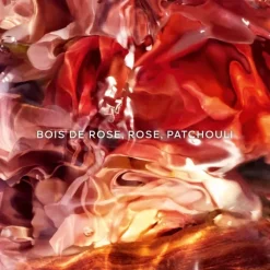 Femme GUERLAIN Parfum Naturel & Eco-Responsable|Eau De Parfum|Aqua Allegoria Forte Rosa Palissandro Eau de Parfum