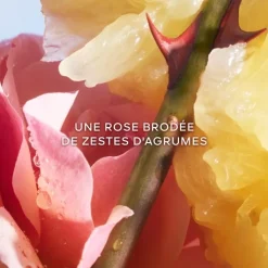 Femme GUERLAIN Eau De Toilette|La Petite Robe Noire                Le Flacon Coeur - Eau de Toilette