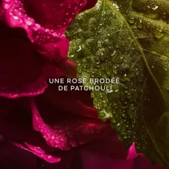 Femme GUERLAIN Eau De Parfum|La Petite Robe Noire                Eau de Parfum Absolue