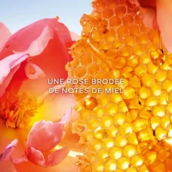 Femme GUERLAIN Eau De Parfum|La Petite Robe Noire Honey Rose                Eau de Parfum