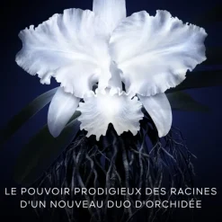 GUERLAIN Soin De Jour|Orchidée Impériale La Crème - La Recharge