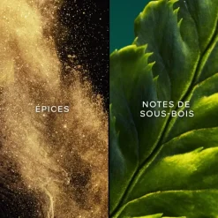 Femme GUERLAIN Eau De Toilette|Vol de Nuit Eau de Toilette