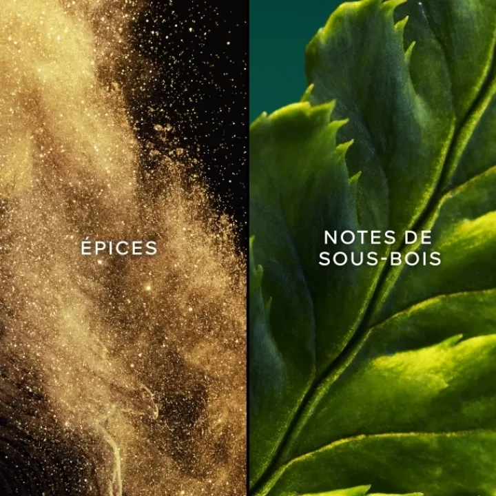 Femme GUERLAIN Eau De Toilette|Vol de Nuit Eau de Toilette