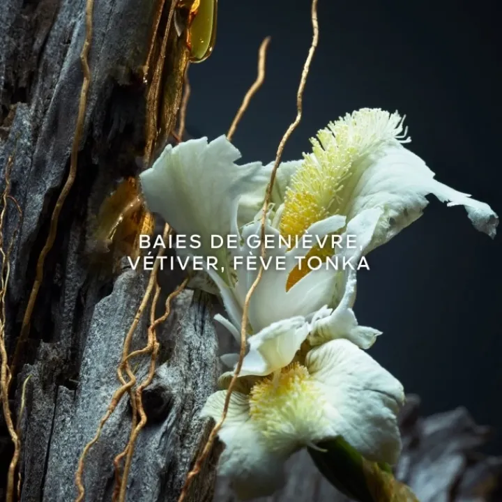 Homme GUERLAIN Eau De Parfum|Vétiver Le Parfum Eau de Parfum