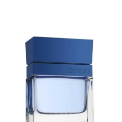 Homme Guess Eau De Toilette|Seductive Homme Blue                Eau de Toilette