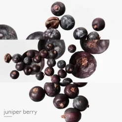 Femme HERMÈS Parfum Recharge|Eau De Toilette|Eau des Merveilles Bleue                Recharge Eau de Toilette