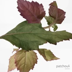 Femme HERMÈS Parfum Recharge|Eau De Toilette|Eau des Merveilles Bleue                Recharge Eau de Toilette