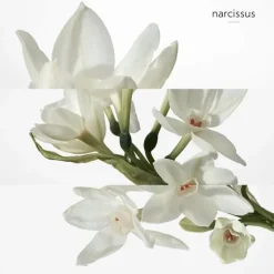 Homme HERMÈS Gamme Complémentaire Parfumée|Eau De Parfum|H24 Déodorant Spray Fraîcheur