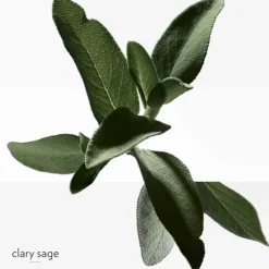 Homme HERMÈS Gamme Complémentaire Parfumée|H24 Déodorant Stick Fraicheur