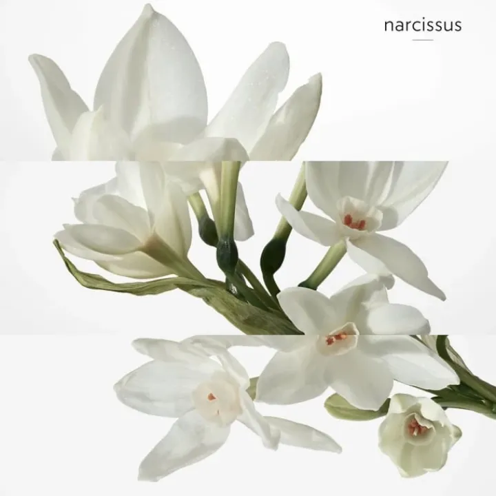 Homme HERMÈS Gamme Complémentaire Parfumée|H24 Déodorant Stick Fraicheur