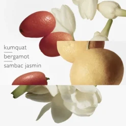 HERMÈS Parfum Recharge|Le Jardin de Monsieur Li                Eau de Toilette - Flacon Recharge