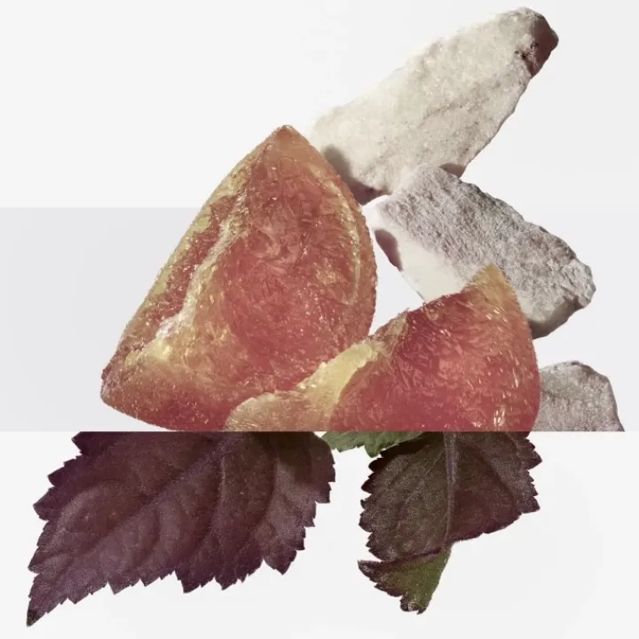 Femme HERMÈS Eau De Parfum|Élixir des Merveilles Calligraphie Eau de Parfum